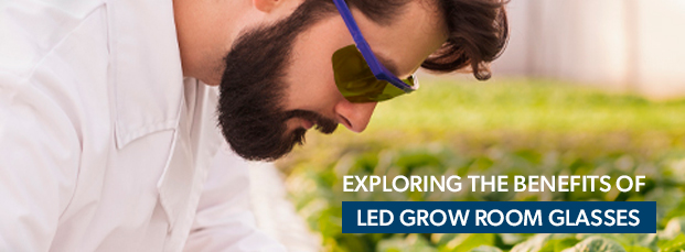 Exploring-the-Benefits-of-LED-Grow-Room-Glasses-PS-blog-thumbnails