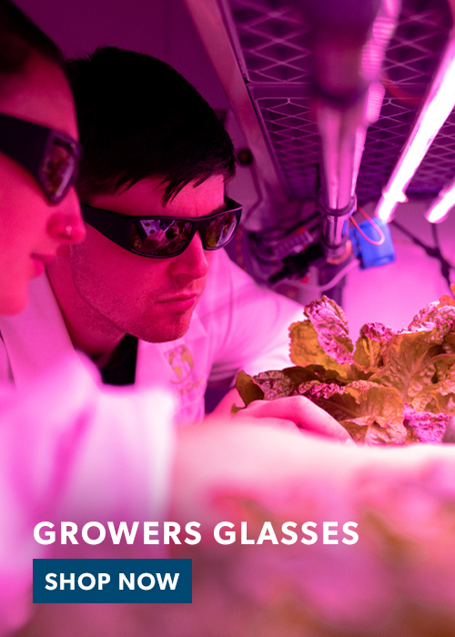 Growers-Glasses_Order-now_Blog-Banner_Phillips-Safety