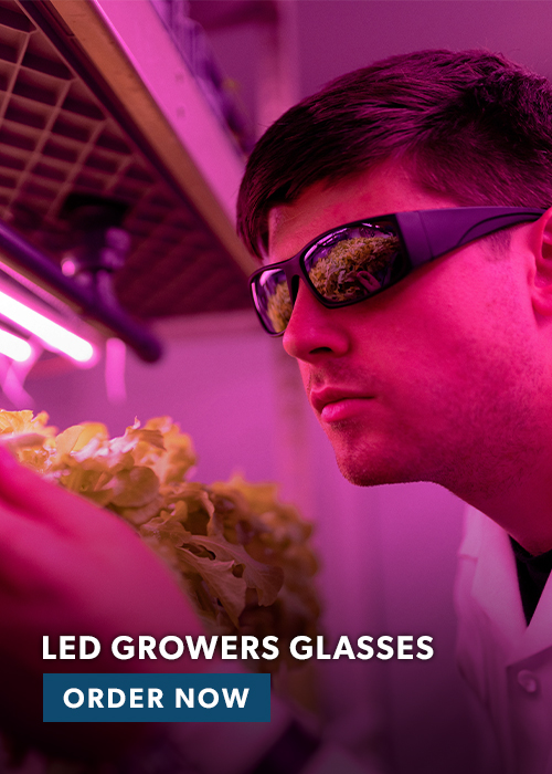 PS-blog-banner-VERTICAL_1-introducing-phillips-safetys-new-line-of-ray-ban-radiation-glasses-with-schott-sf-6-len